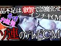 【おそロシア】ソ連のお色気テレビコマーシャル：ソ連経済の矛盾【ゆっくり歴史解説】