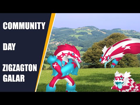 COMMUNITY DAY AOÛT 2022 - ZIGZATON DE GALAR ✨ - IXON, LIGUE COMBAT GO, ATTAQUE SPÉCIALE - Pokémon GO