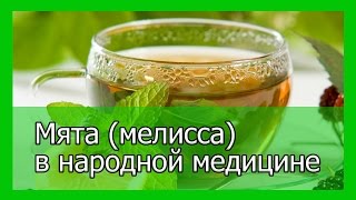 Мята мелисса в народной медицине