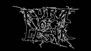 Aura Of Lesya Our Own Storm 2011 Single