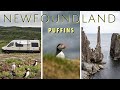 This Is Where You Find Puffins In Newfoundland!