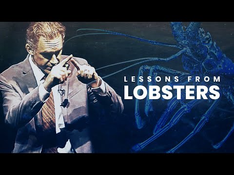 Lessons from Lobsters | Jordan Peterson