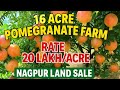 16 Acre Developed Pomegranate Farm Land for Sale in Nagpur | raya properties nagpur 