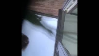 Under Mat Crush Unknown.