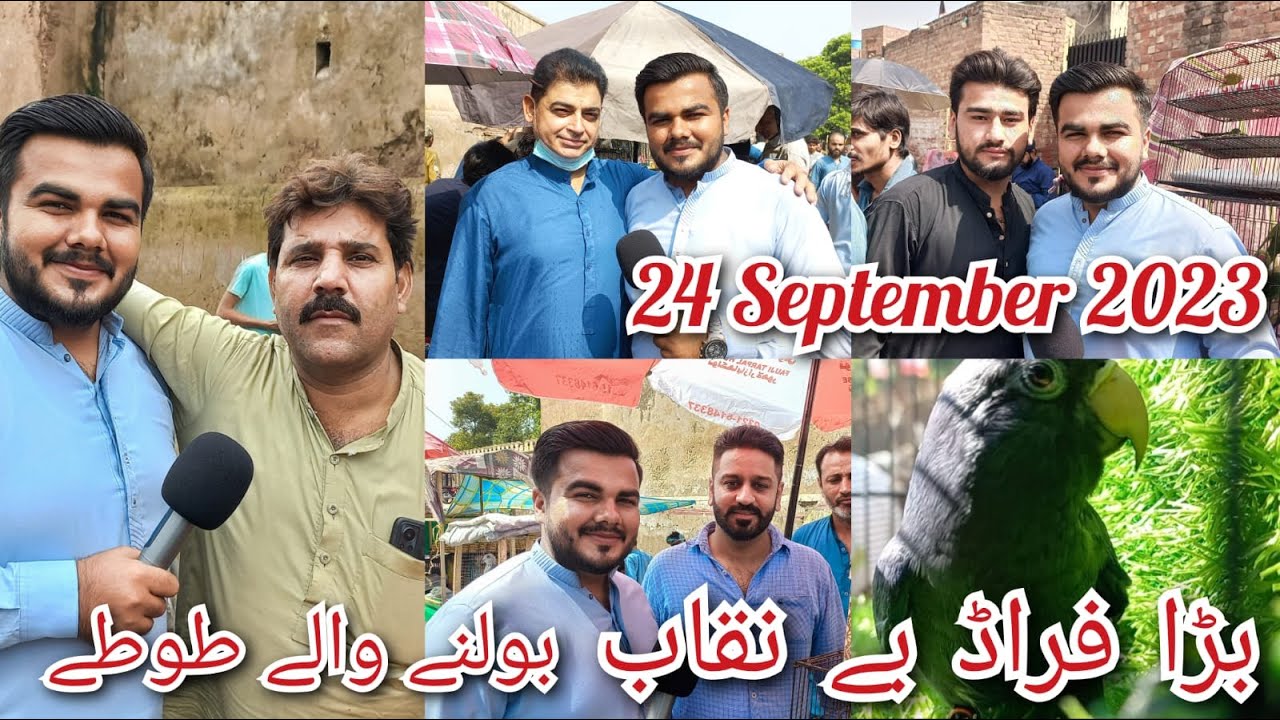 Lahore Sunday Birds Market | Latest Price Update | Sunday Bird Market Lahore
