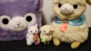 (my very first) Alpacasso Unboxing