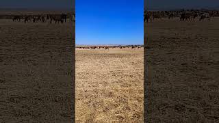 25 Haziran 2025 Resimi