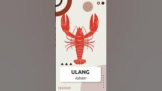 Ulang - Lobster | Filipino - English Vocabulary | LEARN FILIPINO #filipino101 #tagalog101