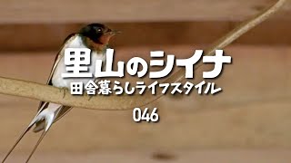 田舎暮らし 046 穏やかな古民家整備の日常 軽トラDIY修理