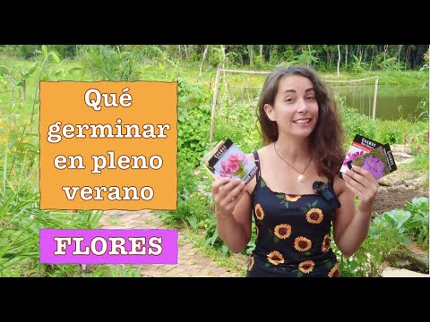 30+ FLORES para sembrar en PLENO VERANO