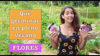 30+ FLORES para sembrar en PLENO VERANO by Mi Jardin en el Desierto 112,030 views 4 months ago 19 minutes