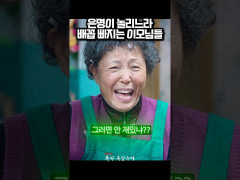 은명이 놀리느라 배꼽 빠지는 이모님들 #폭싹속았수다