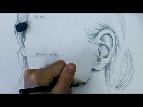 How to Draw Ears