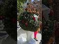 ¡Zaragoza florece! El león de El Buen Jardinero