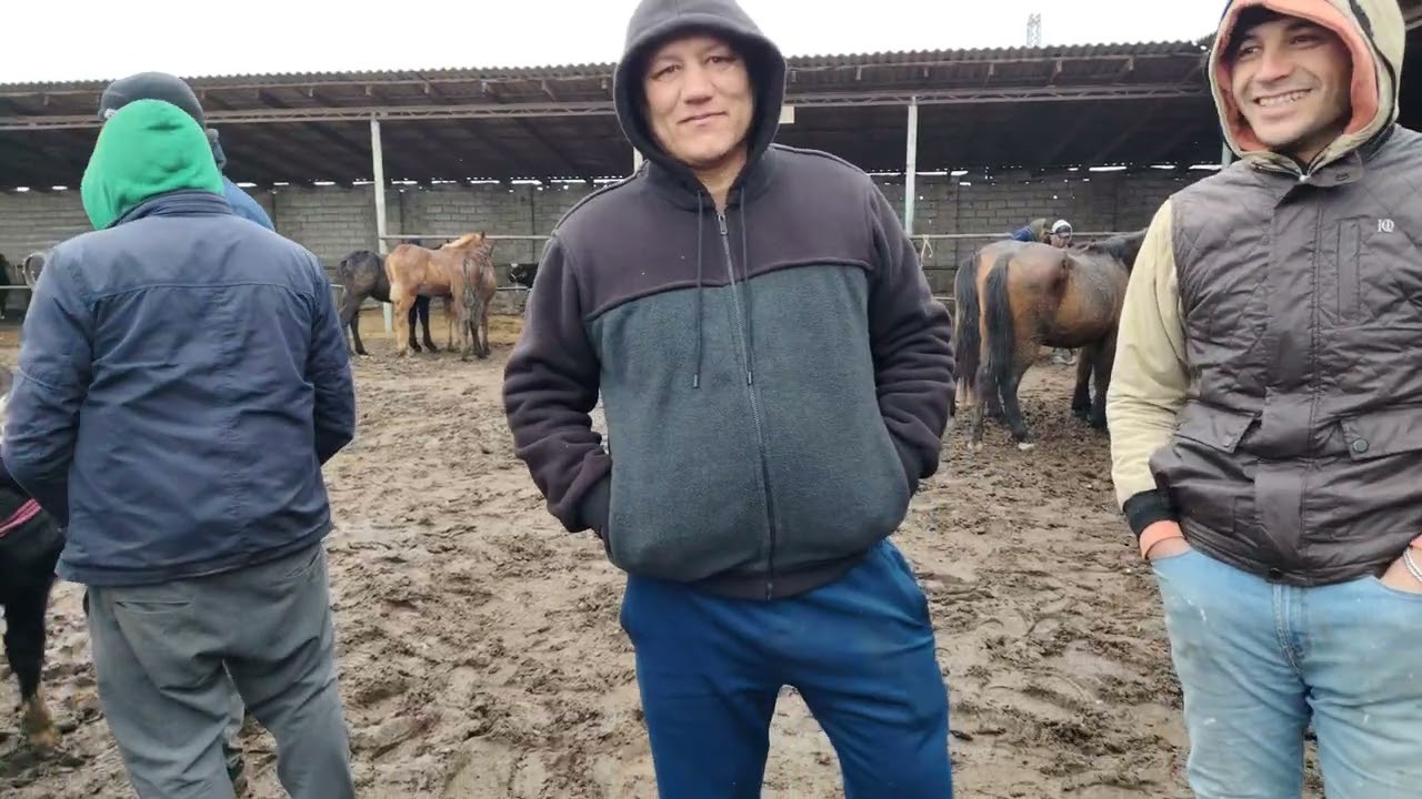 16.01.2026. ARZON BUQACHALAR SIRDARYODA