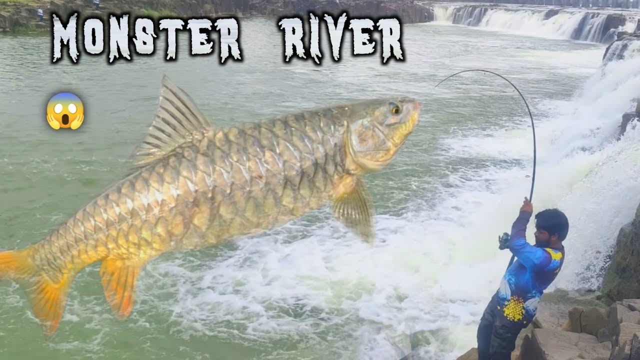 Mahseer Fishing Video | Big Wadis fish catch | Mahseer Fishing tips | Wadis Fishing | Golden fishing