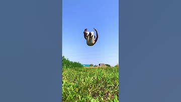 VFX Jump 🔥 Vfx editing 😂 #short #shorts  #nitinjustin #vfx #editing  #backflip