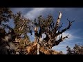 Climatic Changes and Volcanic Eruptions