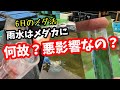 水質(PH)について分かりやすくご説明致します【メダカ】