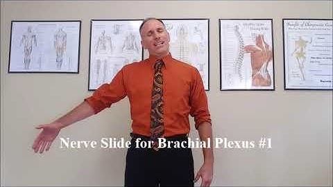 Brachial Plexus Nerve Slide #1 for Thoracic Outlet Syndrome