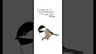 Chickadee, blue jay and double crested cormorant #birdsinging #cheeseburgerbird