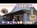 うめてらすで八宝茶とチーズソースがけチーズころん
