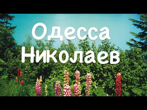 Одесса , Николаев. Отношение между Украиной и Россией
