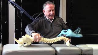 Download Lagu How Curved Should My Spine Be? MP3