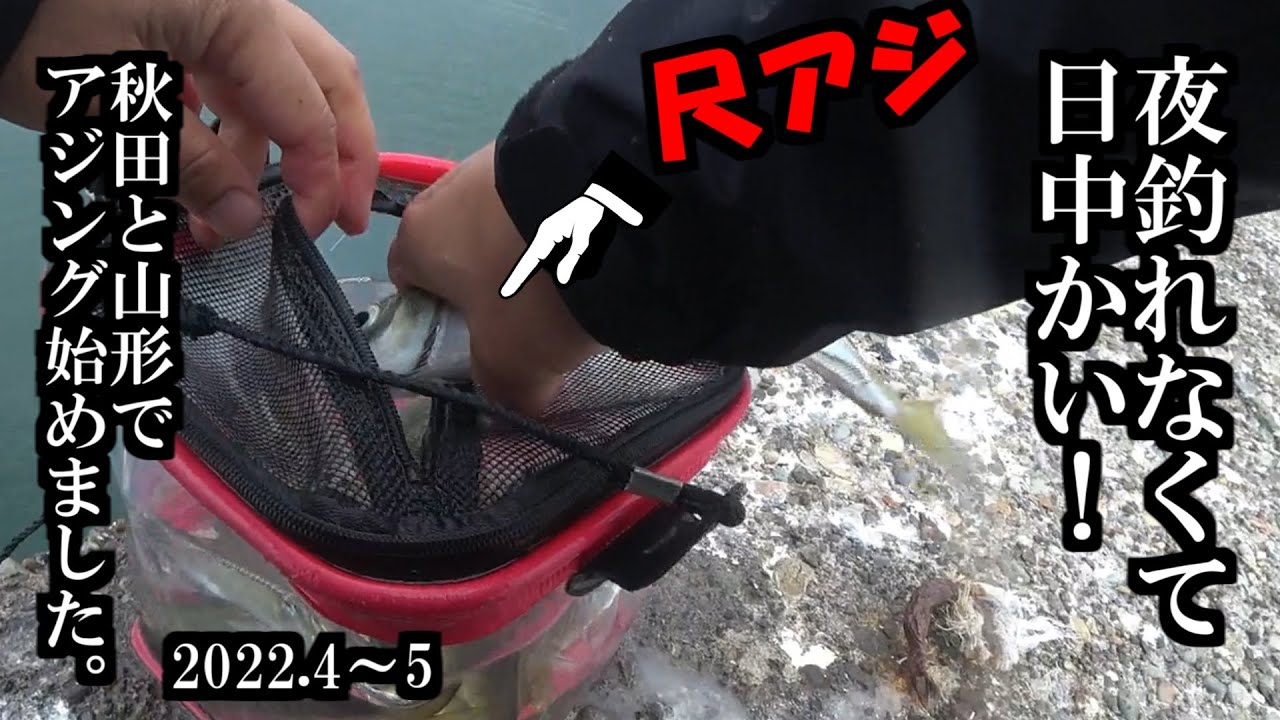 秋田山形アジング入門 激ムズ でもこれは面白い 三陸つりしとがんせ Vol 53 Youtube