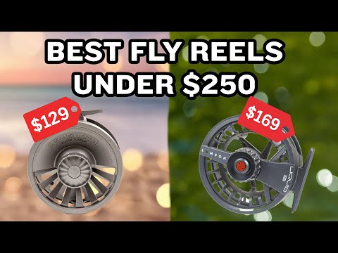 REDINGTON レディントン　ZERO Amazon.com: Redington Zero Fly Fishing Reel, Lightweight