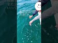 娘たちに負担をかけたくない父の選んだのは 大分県杵築市で海洋散骨