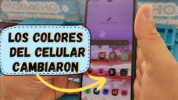 Mi Celular Samsung Cambió De Color. Pantalla en Blanco Y Negro