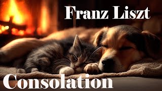 [1 Hour Extended] Franz Liszt 6 Consolations, S. 172 - No.3  / [1시간 연속 듣기] 프란츠 리스트 위로 3번. s 172.
