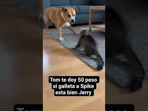 Tom ahd Jerry