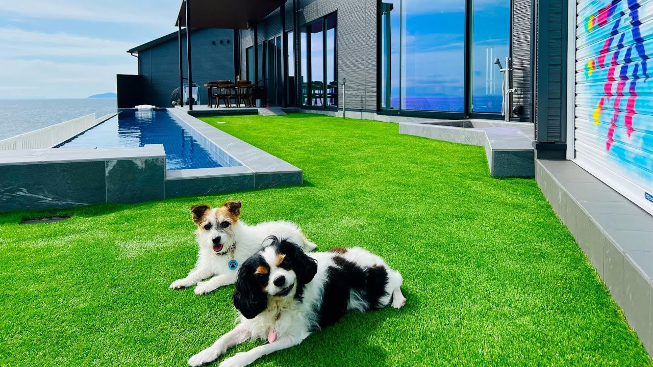 【メディア初公開】愛犬と一緒に宿泊したい方必見！！殆どNGなしで一緒に過ごせます。ベッドもプールも一緒にどうぞ。【Plumeria】