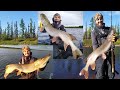 Cеверные щуки, бешеный клёв и приключения на Ямале - ч1. Crazy pikes, crazy fishing Russia Yamal  p1