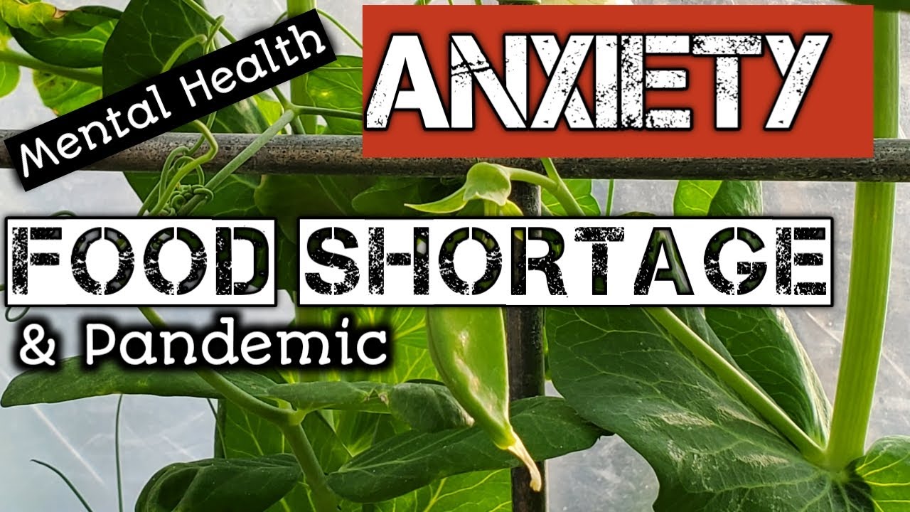 Anxiety and Food Shortage-Mental Health During Pandemic
