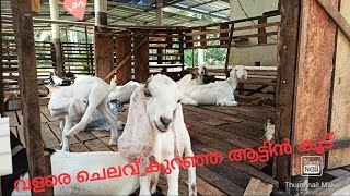 Chelav Kuranjathum Soukaryaprathavumaya Attin Kuud Malabary Goats.