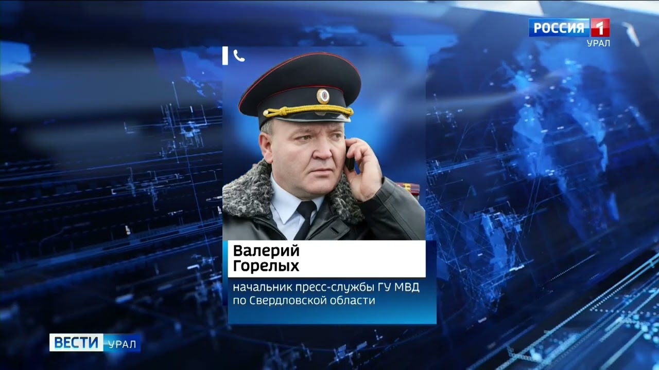 В селе Ярославском живодёры расправились с двумя котами