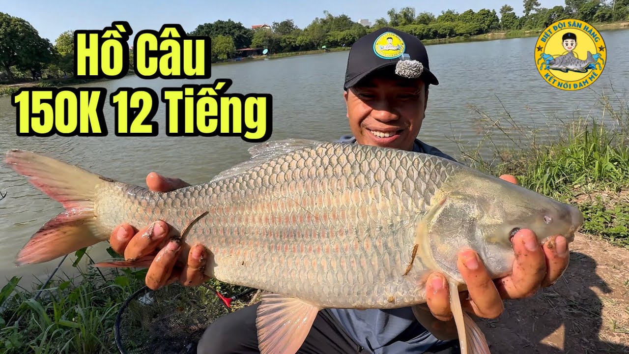 Hồ Câu Bán Tự Nhiên 150k 12 Tiếng Có Những Loại Cá Gì?