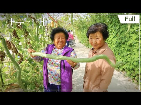 [<strong>Full</strong>] 한국기행 - 백 년의 <strong>비밀</strong> 3부 이대로 좋지 아니한가 20151014