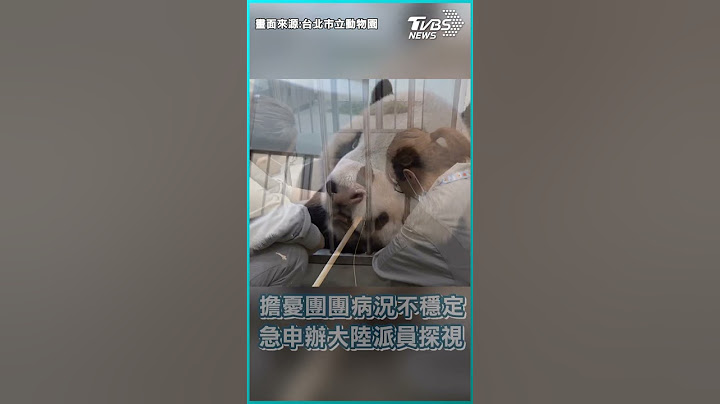 团团病重不乐观 大陆专家跨海探视｜TVBS新闻 #shorts - 天天要闻