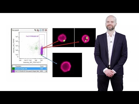 Video: Ontwikkeling Van Een High-throughput γ-H2AX-test Op Basis Van Imaging Flow Cytometry