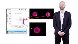 Imaging Flow Cytometry: A Brief Overview - Andrew Filby (Newcastle U.)