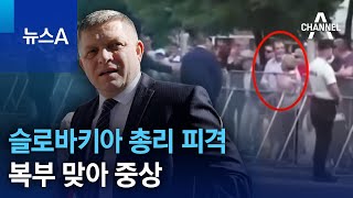 슬로바키아 총리 피격…복부 맞아 중상 | 뉴스A