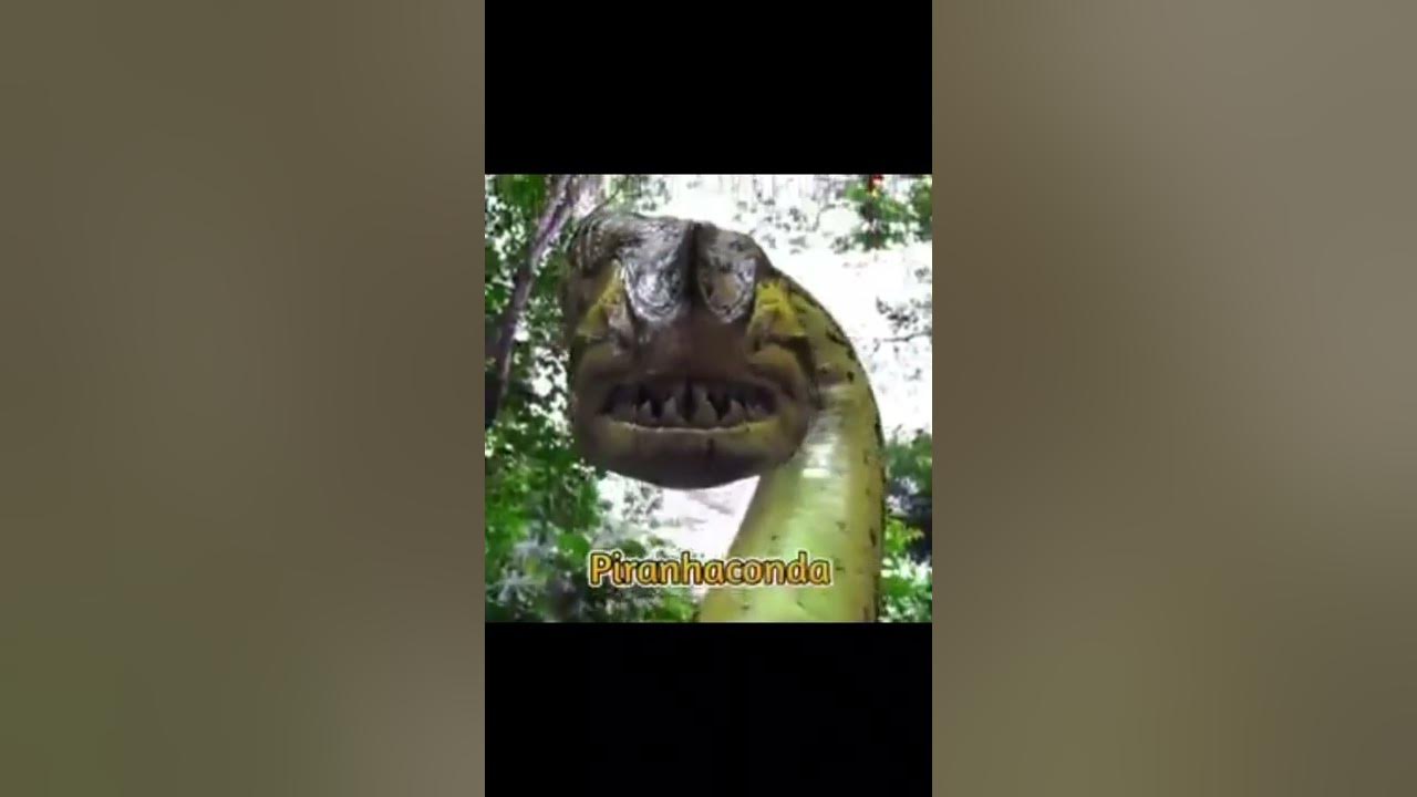 titanoboa team #piranhaconda#megalodon# anaconda#indoraptor#short