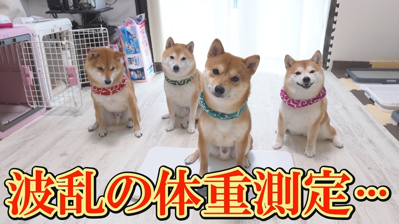 maxresdefault.jpg