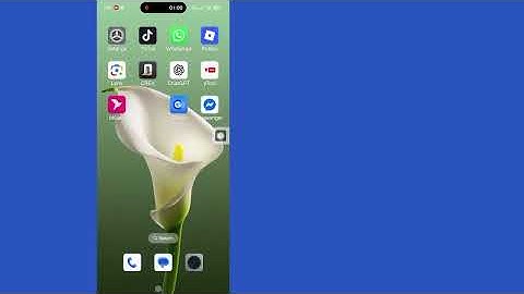 Fix System phone call in progress end the call and try starting a imo call problem Solved
