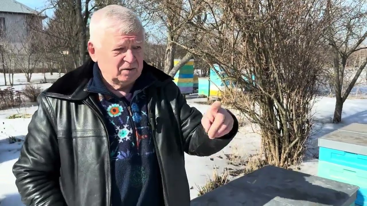 Первый облёт пчел 2026  Зимний отход семей