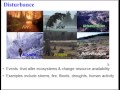 Ecosystem Dynamics Through Time: The Journey of Succession